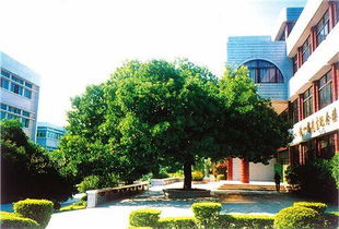 四級美麗的校園風(fēng)景作文400字