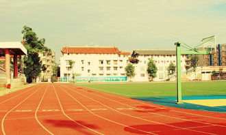 校園風(fēng)景線(xiàn)作文評改