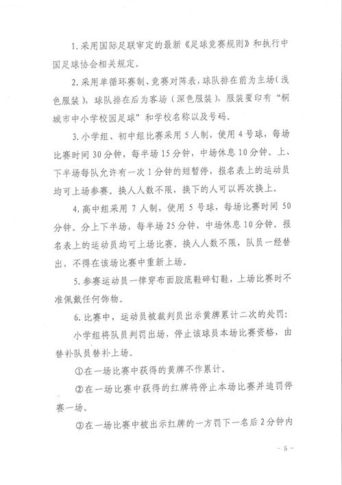 校園足球賽體會(huì )作文五百字