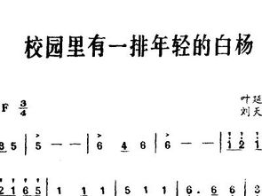 校園里有一群輕的白楊作文