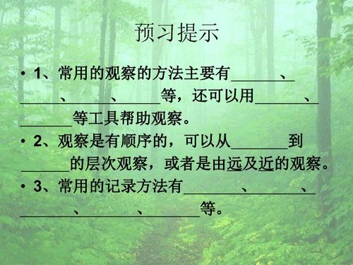 描寫(xiě)校園里一棵大樹(shù)的作文