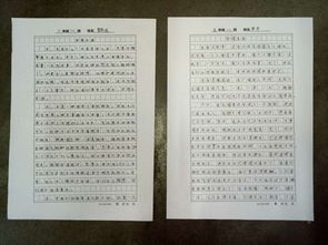 七彩校園作文小學(xué)生