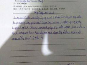 一個(gè)校園派對英語(yǔ)作文