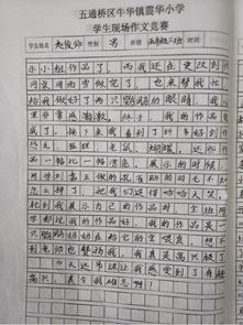 作文,玩轉,校園