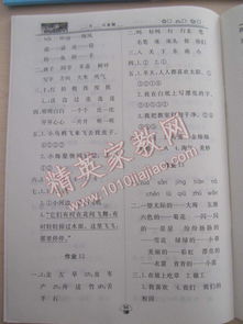 讓我,作文,校園,快樂(lè )