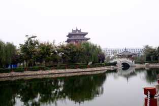 作文,趣事,后花園,校園