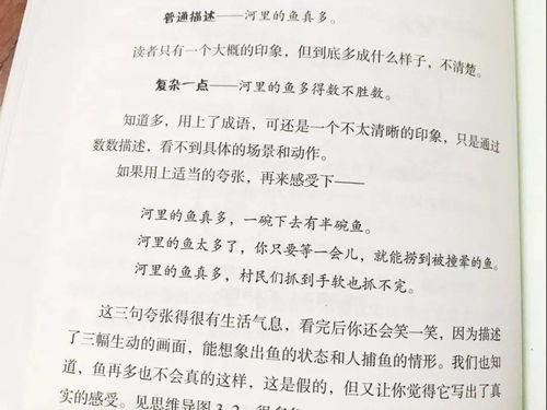 用小河田野花園校園寫(xiě)作文