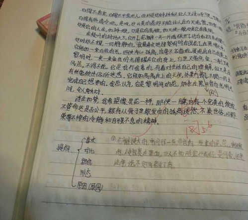 我喜歡的校園作文400字