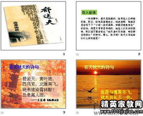 仿寫(xiě)故都的秋作文,仿寫(xiě)故都的秋作文800字,仿寫(xiě)故都的秋作文300字