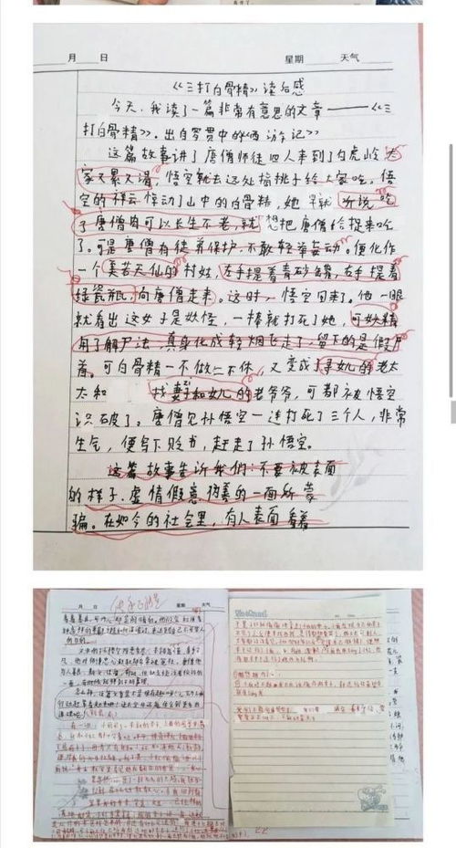 作文我談校園禁手機