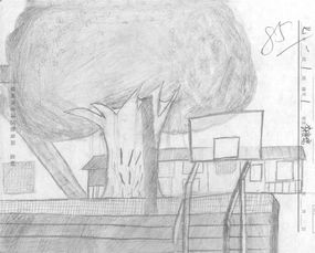 作文,寫(xiě)生,校園