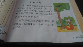 夏天校園的老槐樹(shù)作文400字