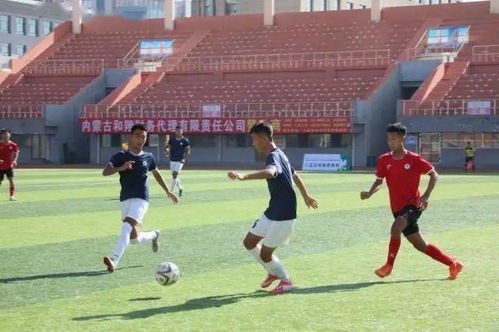 校園足球聯(lián)賽佢作文