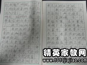 校園運動(dòng)會(huì )消息作文200