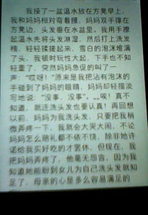 作文,真美,校園