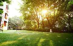 描寫(xiě)校園冬景的作文300字,描寫(xiě)冬景的作文200字左右,描寫(xiě)家鄉冬景的作文200字