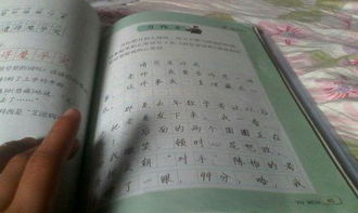 以美麗的校園為題目的作文350字,以美麗的校園為題目的作文150字,以美麗的校園為題目的作文300字