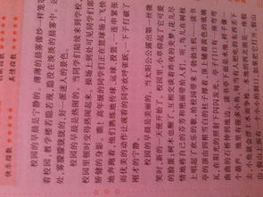 校園新聞作文300個(gè)字