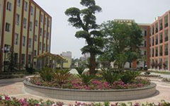 我的校園花壇作文150字