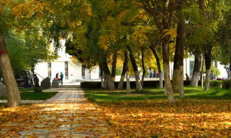 初一校園作文700字大全