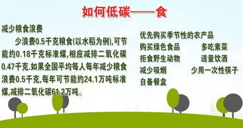 無(wú)廢校園建設作文