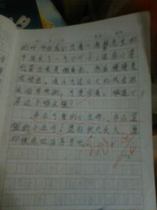 作文,說(shuō)明文,字左右,校園