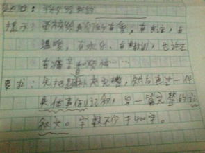 我的樂(lè )園作文400字整校園