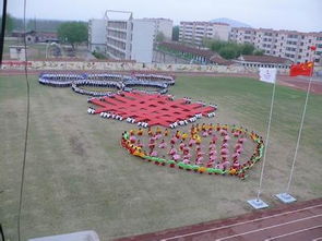 萊蕪市花園學(xué)校校園作文400字