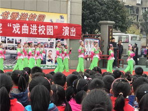 襄陽(yáng)市荊州街下學(xué)校園作文