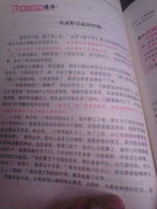 干凈校園從我做起作文300字