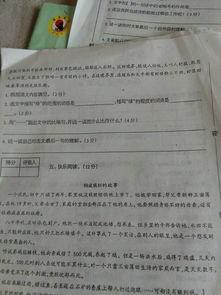 校園一角怎么寫(xiě)作文?,校園一角怎么寫(xiě)作文四年級,推薦圖書(shū)館怎么寫(xiě)作文