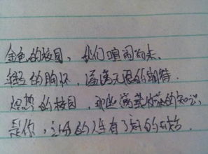 歌頌校園的作文高中