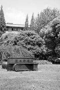 以校園雕塑為題的作文