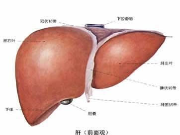 引產(chǎn)的注意事項有哪些,引產(chǎn)后飲食注意事項有哪些,引產(chǎn)手術(shù)后注意事項有哪些