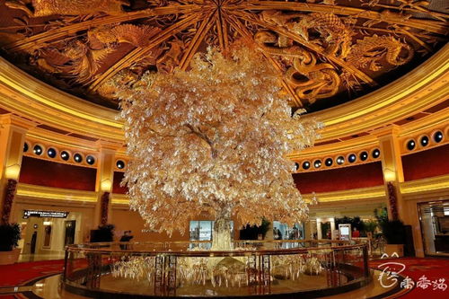 泰國,出關(guān),注意事項