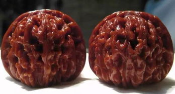 健身核桃剛入手注意事項