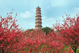 蓮花山拜觀(guān)音注意事項