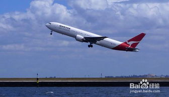 乘飛機,注意事項,包括