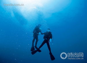 潛水的注意事項,潛水注意事項和技巧,第一次潛水注意事項