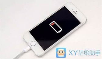 注意事項,充電,蘋(píng)果