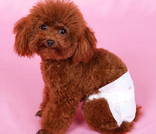 生理期的注意事項是什么,生理期注意事項和飲食,生理期燒香拜佛注意事項