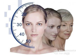 超聲,注意事項,操作