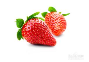 草莓,注意事項