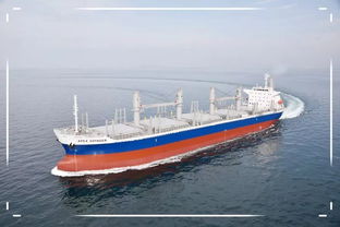 船廠(chǎng)接新船注意事項,三副接新船注意事項,接新船時(shí)船長(cháng)注意事項