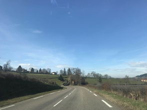 歐洲,自駕游,注意事項