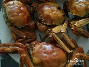 大螃蟹吃法注意事項