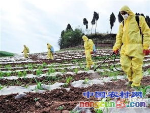 農藥,儲存,注意事項