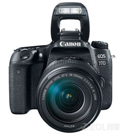 佳能,注意事項,單反相機,購買(mǎi)