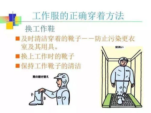 攜帶,注意事項,食品