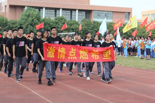 運動(dòng)會(huì ),紀律,注意事項,初中